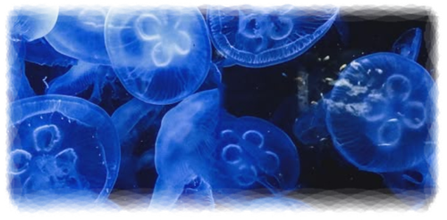 Untitled604 20260301142553.png