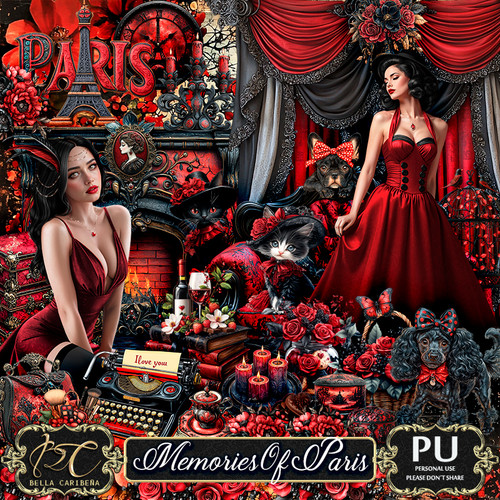 BC MemoriesOfParis.jpg