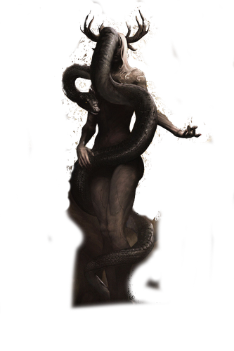 anato finnstark web.png