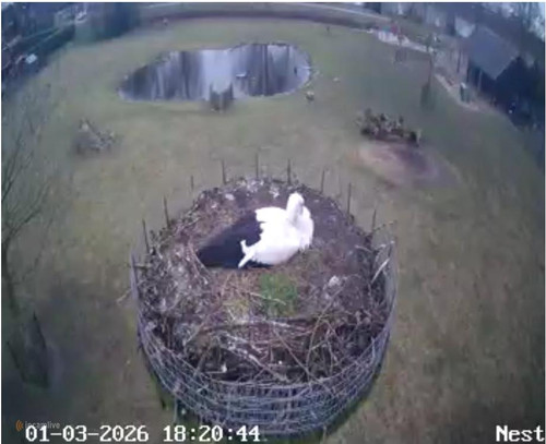 MWSnap924.jpg
