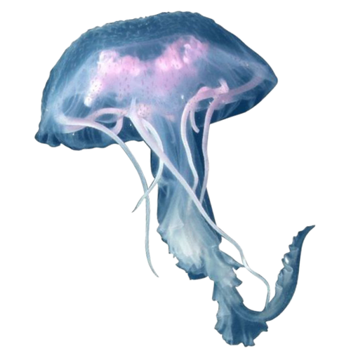 tumblr 06b47c81db26718876f849626f417ba4 4a9beeaf 1280.png