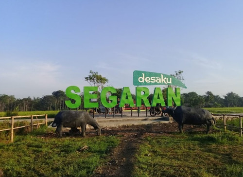 WhatsApp Image 2026 03 02 at 2.24.27 PM.jpg