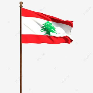 "هآرتس": الجيش يستعد لتنفيذ عملية عسكرية في لبنان بهدف إقامة خط دفاعي عازل....