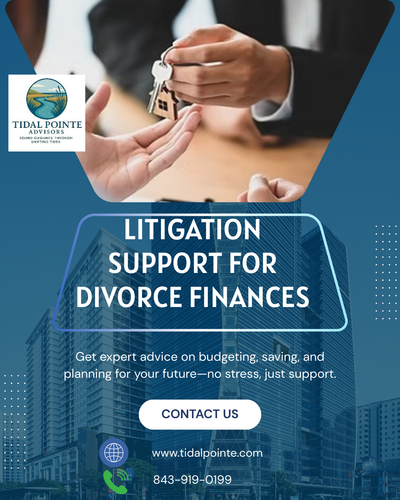 Litigation Support for Divorce Finances.png
