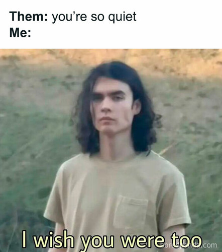introvert memes relatable jokes 92 696de03893e2f 700.jpg