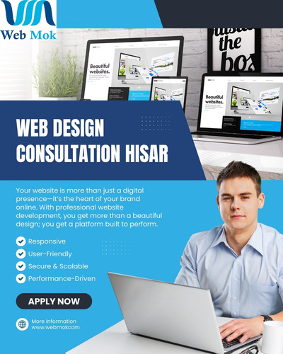 Web Design Consultation Hisar.jpg