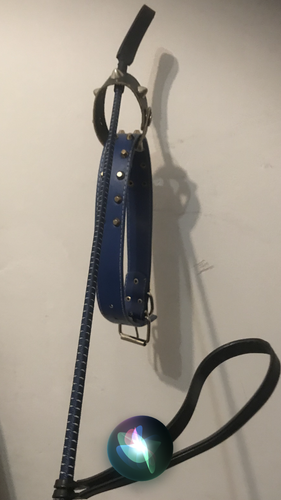 5EC1E3D2 8212 4A29 B625 DA67A277C715.png