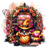 Connie 76ºBanner.png