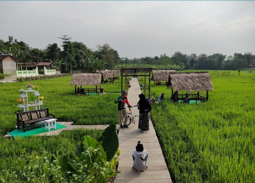 WhatsApp Image 2026 03 02 at 4.54.01 AM.jpg