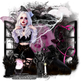 Sissy 82ºBanner.png