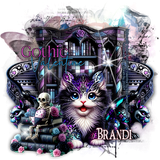 Brandi 77ºBanner.png