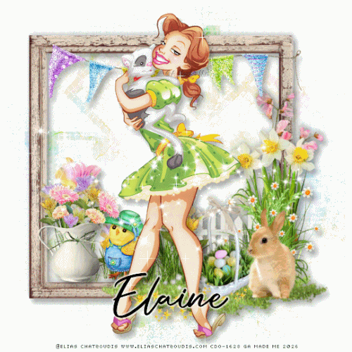 elainehs.gif