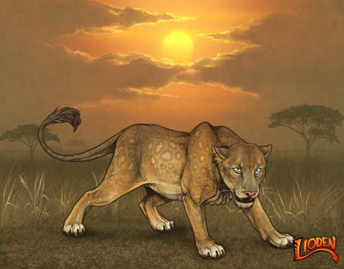 lion 794256963715.png