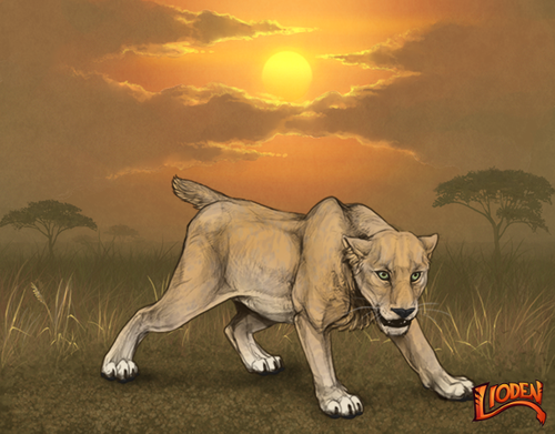 lion 794257409074.png