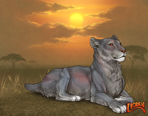 lion 794258377079.png