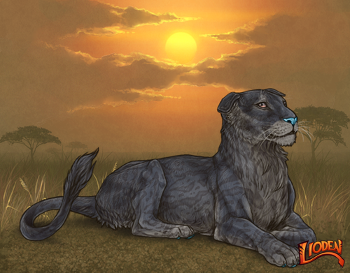 lion 794253546605.png