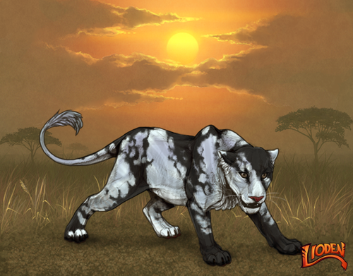 lion 794259637148.png