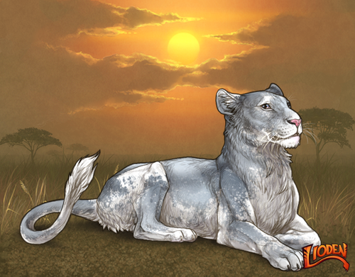 lion 794259121160.png