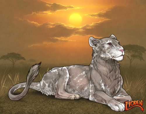 lion 794244211804.png