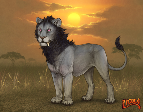 lion 794259722255.png