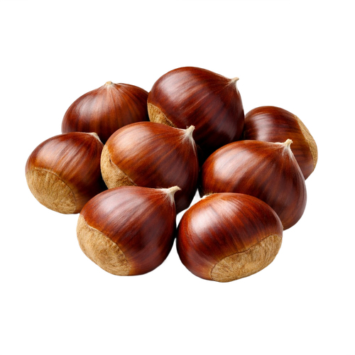 chestnut.png