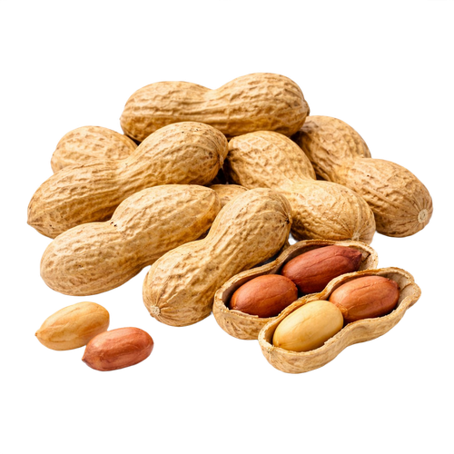 peanut.png