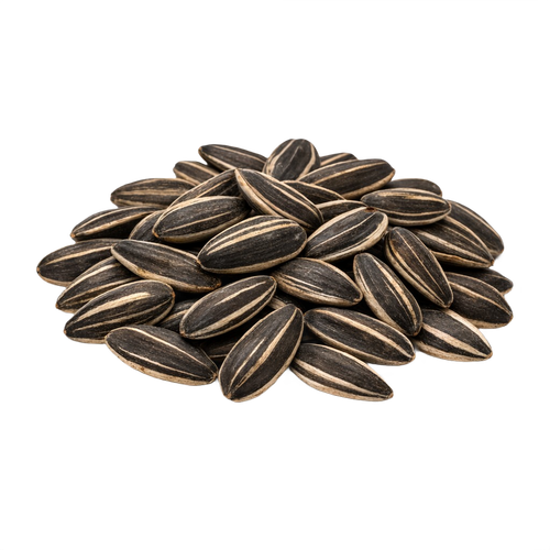 sunflower seeds.png