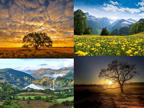 Worship The Creator and not the creation -.jpg