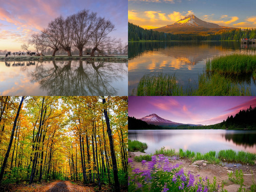 Worship The Creator and not the creation -.jpg