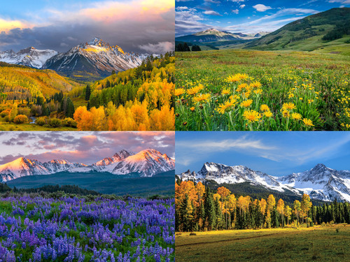 Worship The Creator and not the creation -.jpg