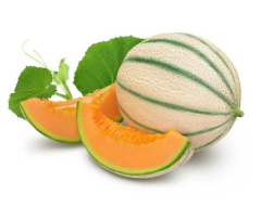 Muskmelon.png