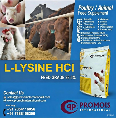 L Lysine Supplier.jpg