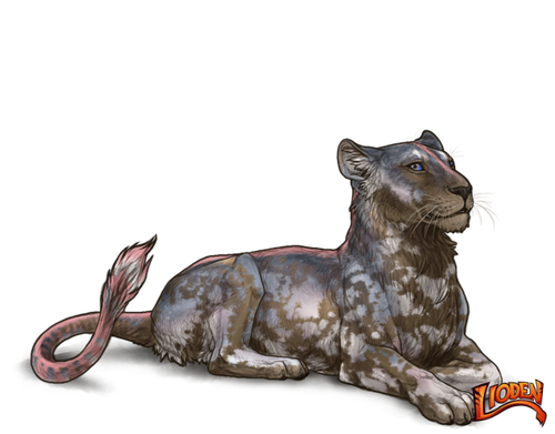 lioden wardrobe 2026 02 28T114533.724.png