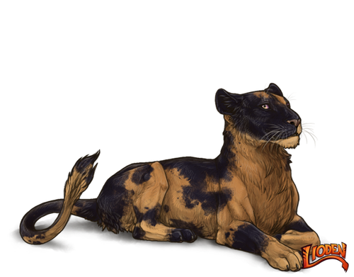 lioden wardrobe 2026 02 28T113548.432.png