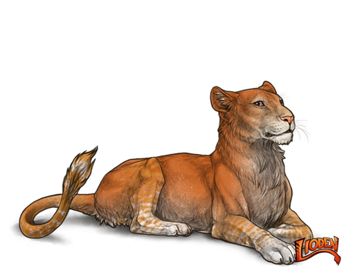 lioden wardrobe 2026 02 28T113524.273.png