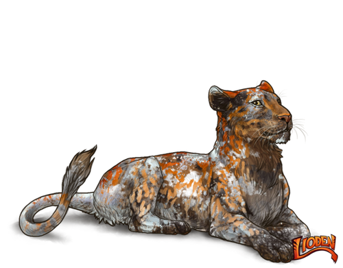 lioden wardrobe 2026 02 28T114613.195.png