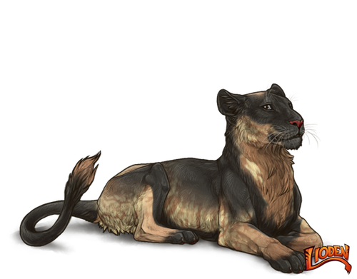 lioden wardrobe 2026 02 28T113500.135.png