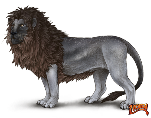 lioden wardrobe 2026 02 28T114416.946.png