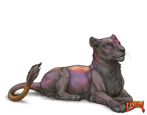 lioden wardrobe 2026 02 28T114044.681.png