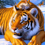이랑 움짤 2.gif
