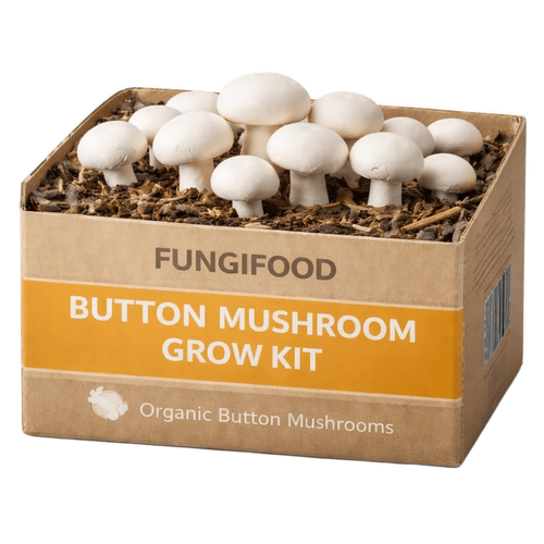 Mushroom growing kit