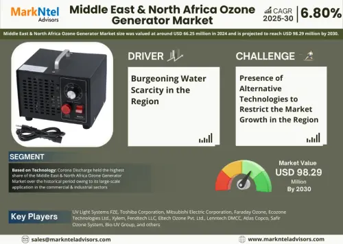 Middle East & North Africa Ozone Generator Market.webp