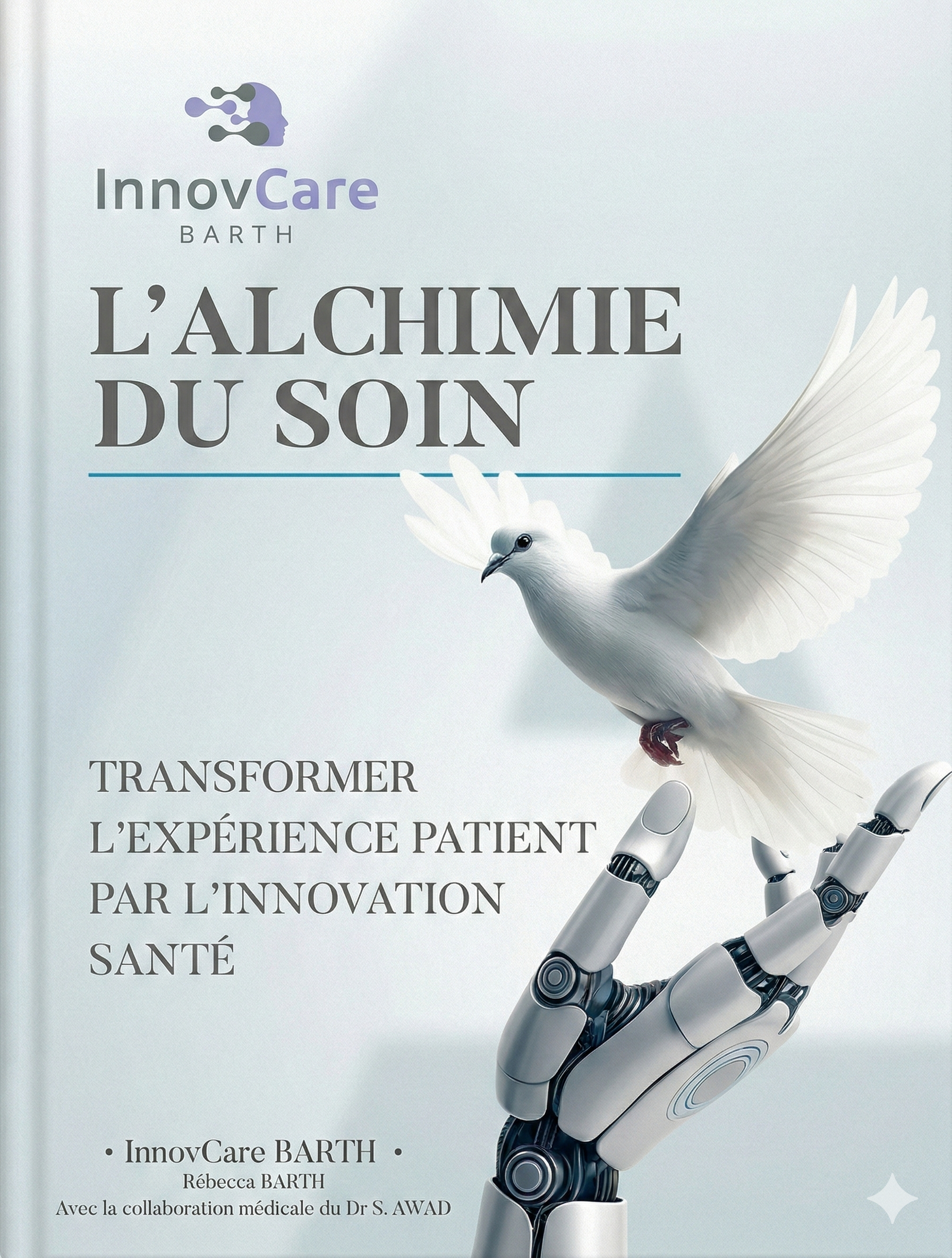 Couverture L'Alchimie du Soin