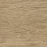 almond 1