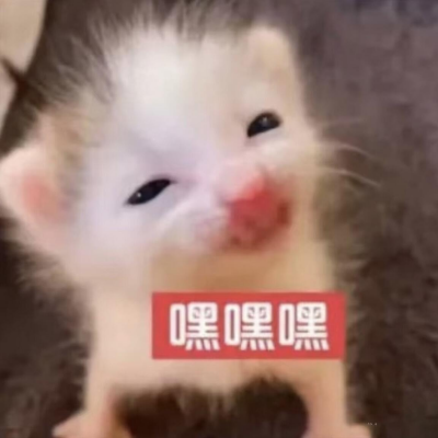 3415f8355d1abf60b7f521a7b59fa399.png