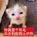 f866acc65719cfe90140c79eff2ffe1c.png