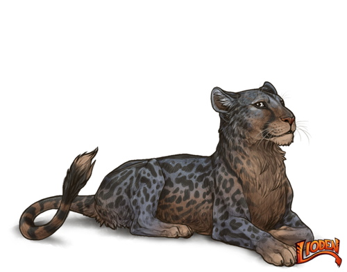 lioden wardrobe 2026 02 28T115314.174.png