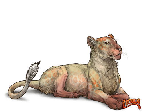 lioden wardrobe 2026 02 28T115248.527.png