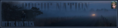 HedLites Banner.jpg