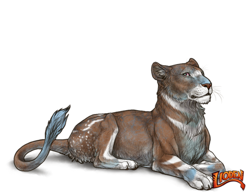 lioden wardrobe 2026 02 28T115405.942.png